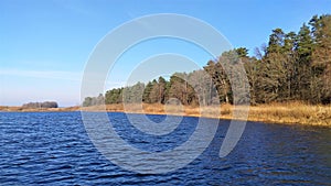 The sky above the lake in November is blue with clouds. There are bushes, pines and birches growing on the shore. The wind on the photo