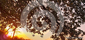 2 sky is beauty series1