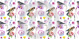Sky bird sparrow in a wildlife pattern by watercolor style isolated.