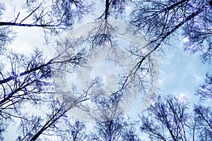 Sky, blue, abstract, space, clouds, cloud, dark, star, night, galaxy, light, nature, storm, texture, black, stars, moon, nebula, s