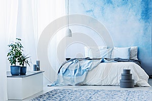 Sky blue bedroom interior with double bed, plants and grey boxes