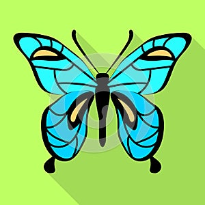 Sky blue butterfly icon, flat style