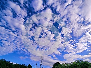 sky bluesky cloud bright trees green