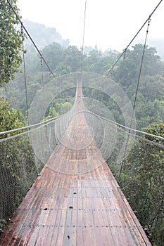 Sky bridge on the jungle sukabumi west java