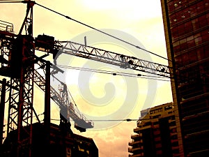 Sky carpers building