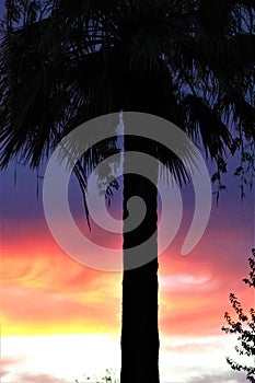 Sky, Celestial Sphere, in Maricopa County, Mesa, Arizona, United States