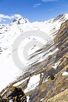 Sky cliff walk at First peak of Alps mountain Grindelwald Switzerland