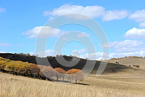 Sky and cloud above upland with autumn trees