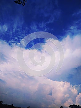 Sky cloud blue background panorama, beautiful white, bright weather light simmer.trees