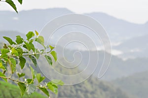Sky ,cloud ,tree and mountain