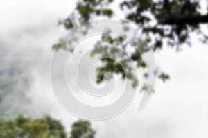 sky ,cloud ,tree and mountain in blur background