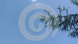 Sky with cloude and sun, summer day background