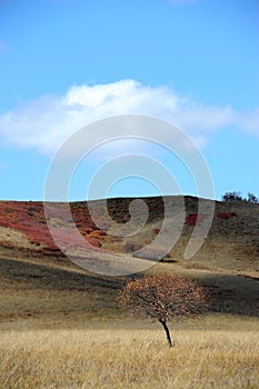 Sky and clouds above upland with autumn trees