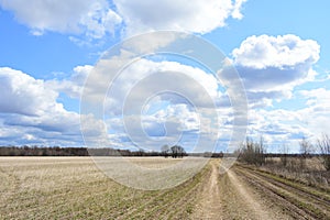 Sky, clouds. Boundless field. Rural road. Forest in the distance. Rural view of nature