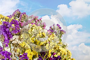 Sky with clouds bunch of colorful wildflowers