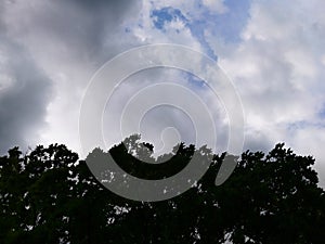 Sky clouds dramatic view with dark green trees line