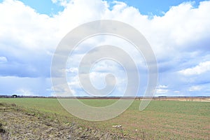 Sky, clouds. Far village and forest. A large field of young grass, boundless. Agricultural
