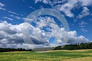 Sky clouds field forest