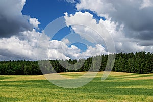 Sky clouds field forest