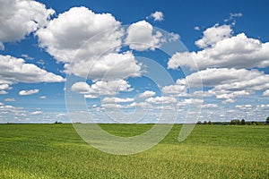 Il cielo nuvole 