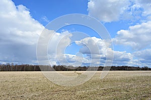 Sky, clouds. Fields. Road on the grass. Forest. Rural view of nature