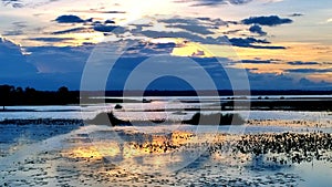 Sky, clouds, light, beautiful blue in Evening sky