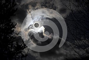 The sky in the clouds.