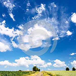 sky with clouds over cereal fields in Picardy