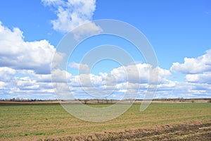 Sky, clouds over the field. Forest in the distance. A large field of young grass, boundless. Agricultural