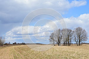 Sky, clouds. Road through a field of grass and trees. Forest. Rural view of nature