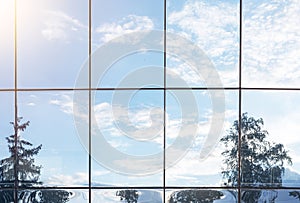 Sky, clouds and tree reflection in grid of glass window of modern building. Nature and environment vs business