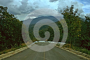 Sky Clouds Tropical Forest Road Right Turn Background