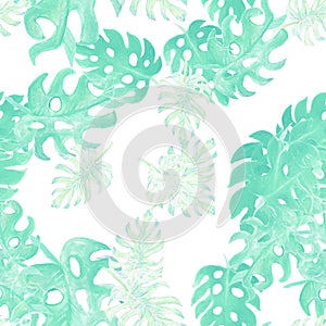 Sky Color Monstera Background. Turquoise Seamless Foliage. Green Tropical Texture. Pattern Texture. Watercolor Print. Floral Illus