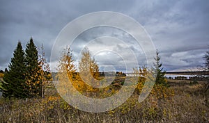 The sky is covered with leaden clouds.  Golden autumn.