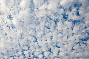 The sky covered with many white clouds.