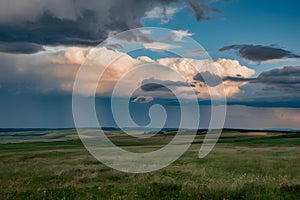 Sky covered with nimbostratus clouds, chance of rain