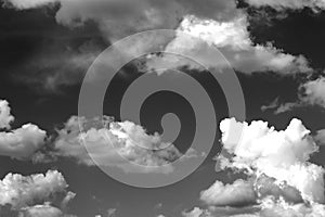 Nature background 2167