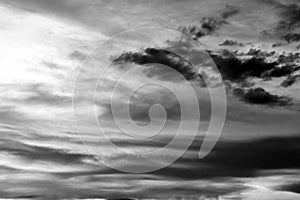 Nature background 2728