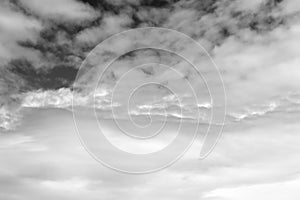 Nature background 2326