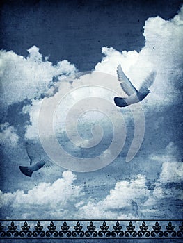 Sky and doves