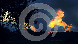 The Sky is Drawing Horse