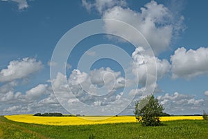 The sky and endless fields