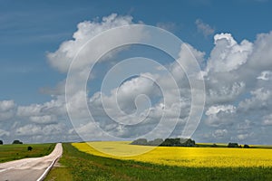 The sky and endless fields