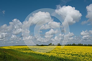 The sky and endless fields