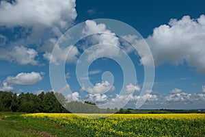 The sky and endless fields