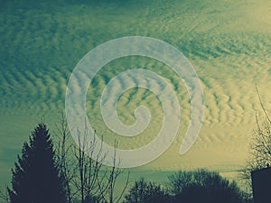 Sky with fluffy clouds