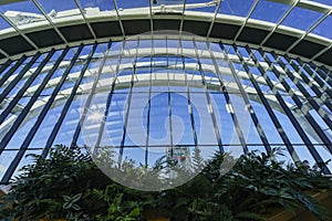 The sky garden