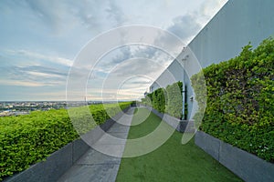 Sky garden on private rooftop of condominium or hotel, high rise architecture building with tree, grass field, and blue sky