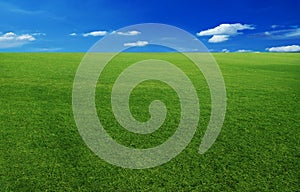 Sky and grass background