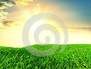 Sky and grass background, fresh green fields